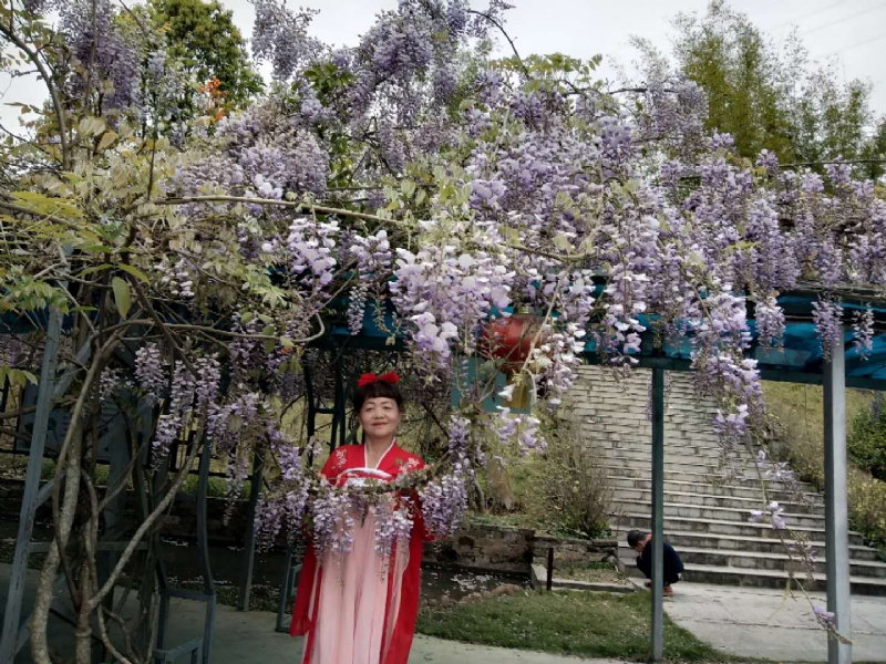 莉莉的第一张照片--上杭残疾人相亲网
